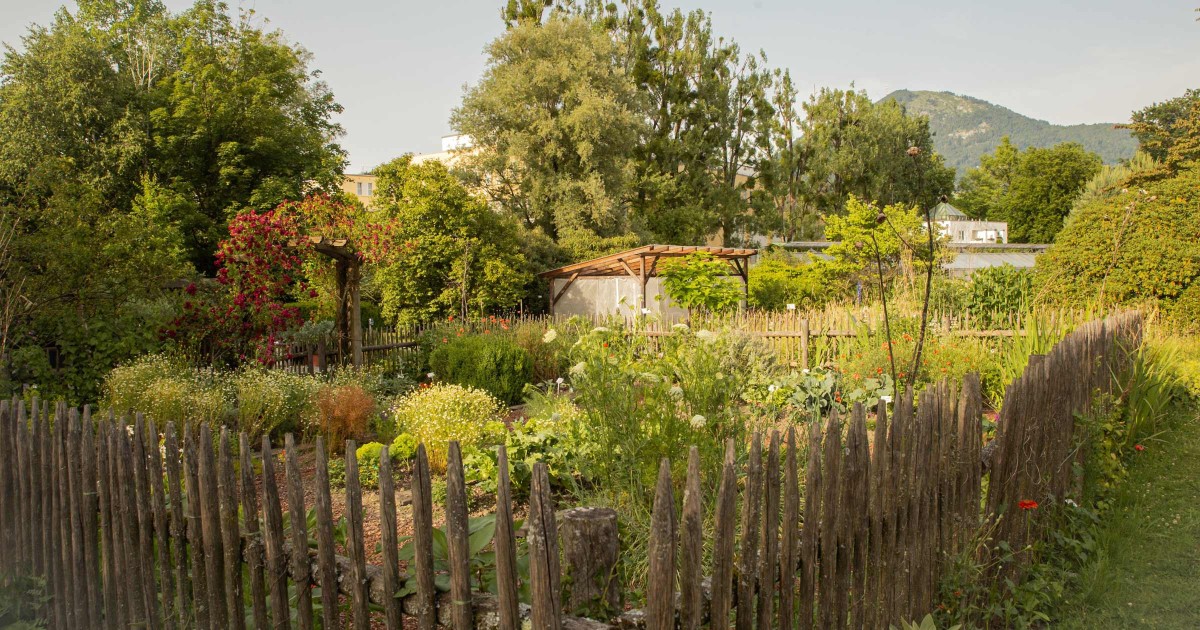 Botanischer Garten Salzburg © Silja Parke - Wilde Möhre Blog